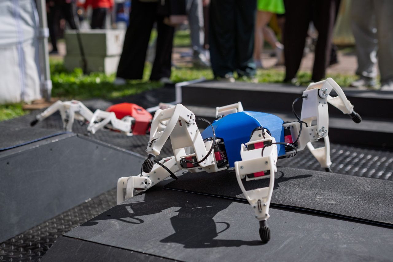 Два гексапода HexaRun идут по трассе на фестивале